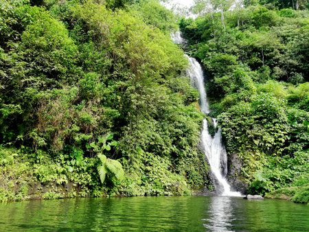 Banyu Mala waterfall,at Buleleng regency of Bali,Indonesiaの写真素材