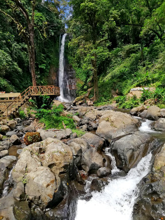 Gitgit waterfall in Buleleng regency of Bali-Indonesiaの写真素材