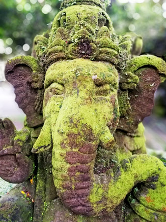 Close up face of the Ganesha Stone statue , with full of mossの写真素材
