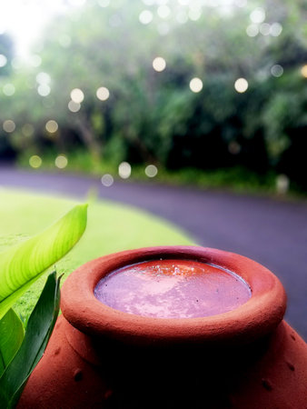 clay pot with water and green plant on blurred background, outdoorの写真素材