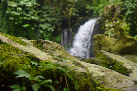 Natural river stone foreground in the forest, with blurry  waterfall background