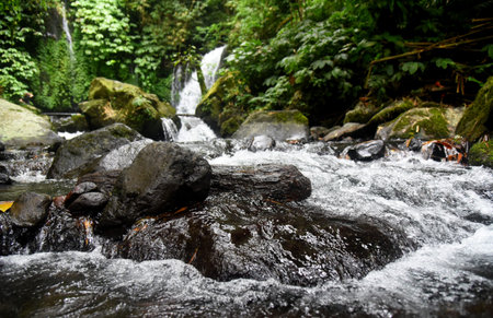 Waterfall, at Tabanan regency of Bali Indonesia, with stunning forest vibesの写真素材