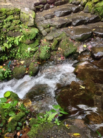 Sebatu Holly Spring Waterの素材