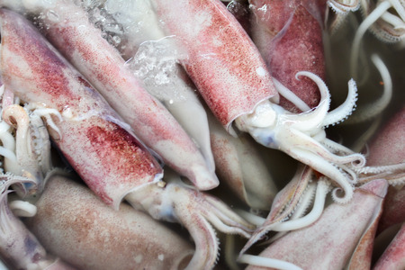 Squid in local market
