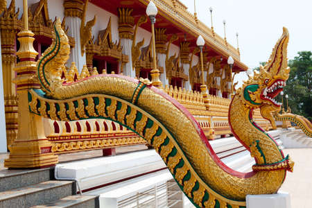 The golden Nagaの写真素材