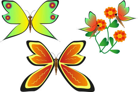 butterfly , flowersのイラスト素材