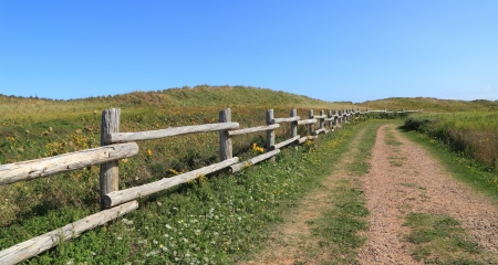An isolated dirt road through rural Prince Edward Island の写真素材