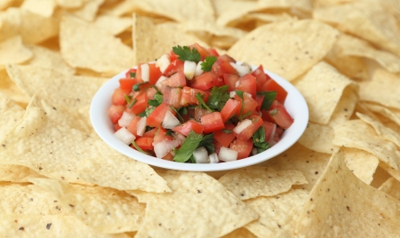 A bowl of pico de gallo  salsa fresca  surrounded by tortilla chips の写真素材