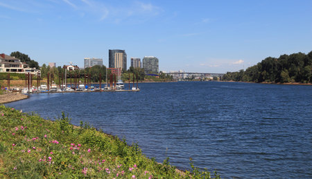 View of Southwest Portland as seen from along the Willamette River.の写真素材