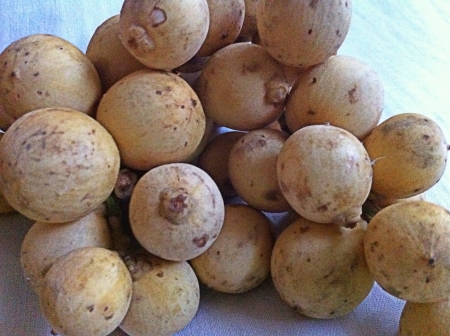 Yellow berrylike fruit.の素材