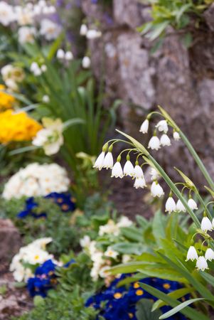 Springtime Flowersの写真素材