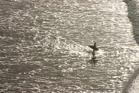 A surfer going in to the waterの写真素材
