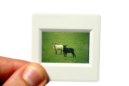 Viewing a 35mm slideの写真素材