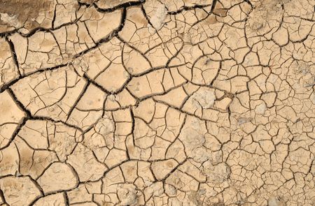 Natural pattern cracked mud.