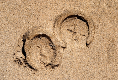 Horse shoe prints on a sandy beach.の写真素材