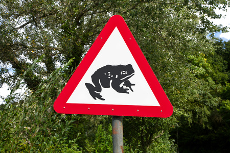 Toads crossing the road warning sign in Llandrindod Wells, Wales, UK.の写真素材