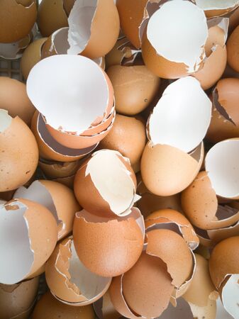 Waste a lot of eggs.の写真素材