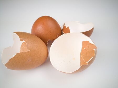 Waste eggs with a white backgroundの写真素材
