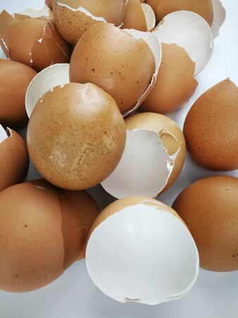 Waste eggs with a white backgroundの写真素材