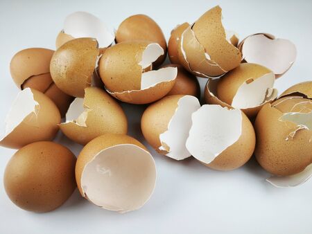 Waste eggs with a white backgroundの写真素材