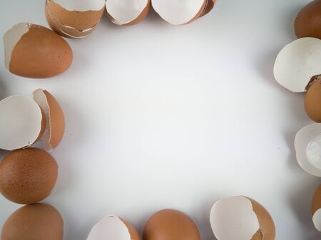 Waste eggs with a white backgroundの写真素材