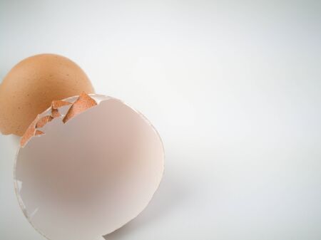 Waste eggs with a white backgroundの写真素材