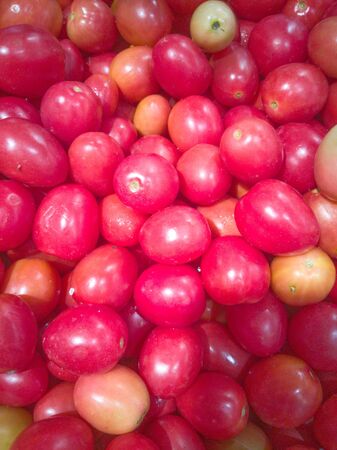 Tomato Sida Backgroundの写真素材