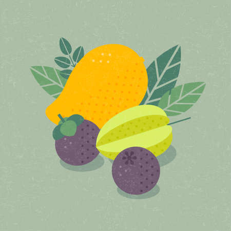 Mango, Carambola (starfruit) and Mangosteens. Ripe fruits with leaves on shabby background. Flat illustration.のイラスト素材