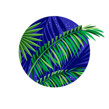 Tropical landscape illustration in circular frame. Palm leaves silhouette, jungle plants and star sky. Palm leaves into circle.のイラスト素材