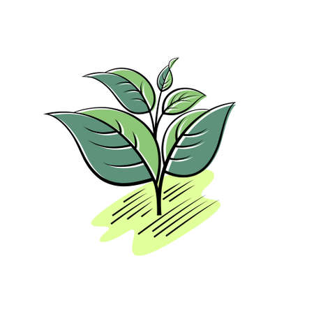 Green leaves illustration. Linear illustration with colors.のイラスト素材