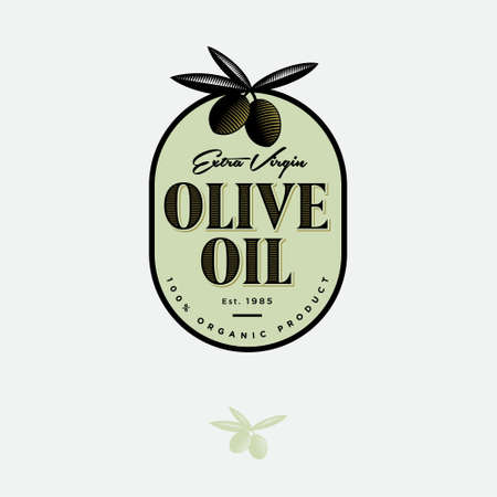 Olive Oil Logo and Label. Olives with leaves illustration at engraving style. Vintage style for food or product design.のイラスト素材