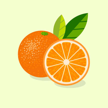 Oranges illustration. Ripe oranges juicy fruits with leaves on a light background.のイラスト素材