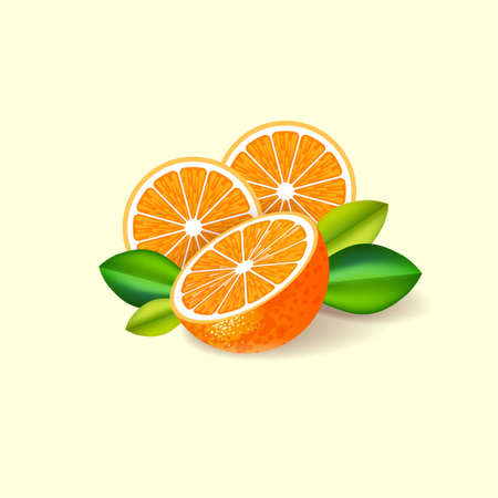 Oranges illustration. Ripe oranges juicy fruits with leaves on a light background.のイラスト素材