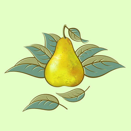 Pear illustration. Pear with leaves on a light background. Original vector illustration.のイラスト素材