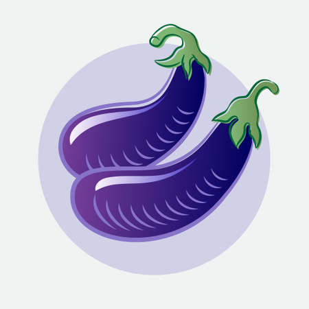Two eggplants on a light background. Ripe fruits and leaf icon. Organic farm products. Engraved Illustration.のイラスト素材