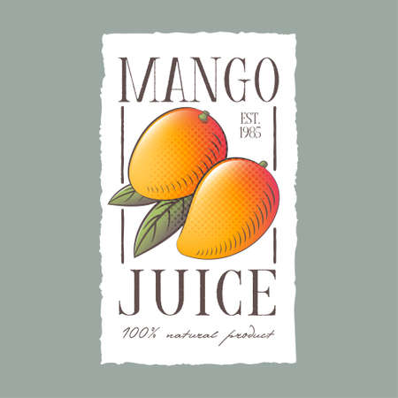 Mango juice label. Healthy fruit beverage. Two yellow-orange fruits with leaves on a white label with uneven edge. Engraving Style Illustrations.のイラスト素材
