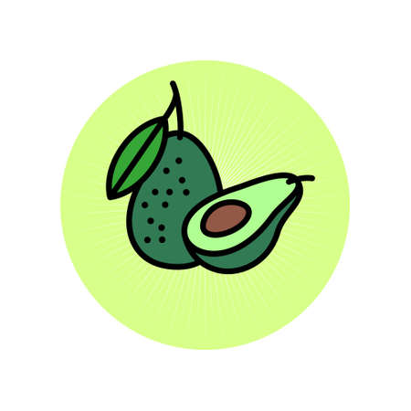 Avocado flat illustration. Avocado icon. Avocado one cut in half with bone and whole avocado with a leaf in green circle.のイラスト素材