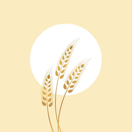 Golden spikelet and sun illustration. Ripe ears of corn in field.のイラスト素材