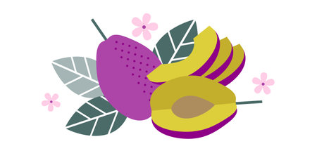 Plum fruits. Flat illustration. Whole and cut fruits, leaves, plum pits and flowers.のイラスト素材