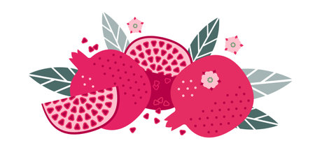 Pomegranate fruits. Flat illustration. Whole and cut fruits, leaves, pomegranate seeds and flowers.のイラスト素材