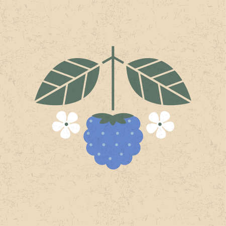 Dewberry illustration. Berry with leaves and flowers on shabby background. Flat design. Original simple flat illustration.のイラスト素材