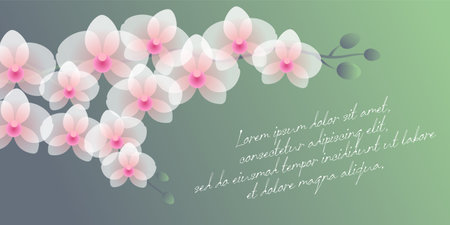 Orchid branch with transparent effects and buds.のイラスト素材