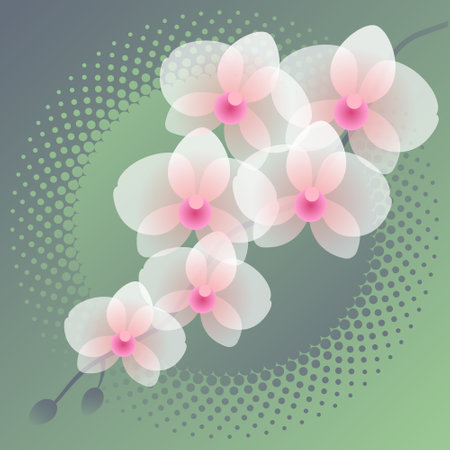 Orchid branch with transparent effects and buds on halftone pattern background.のイラスト素材