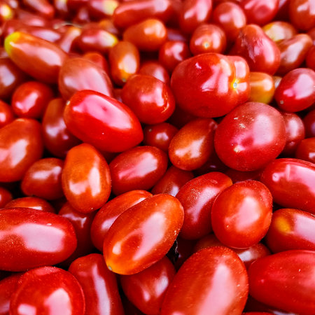 Small oblong cherry tomatoes. Background of ripe tomatoes. harvest.の写真素材