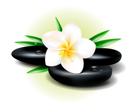 Vector illustration of tropical spa and resort. Vector illustration of basalt stones and tropical flower.のイラスト素材