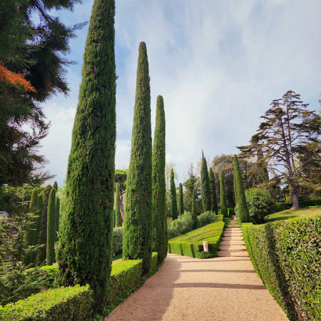Park in English style. Cypress trees, pines and green laws. Spring.の写真素材