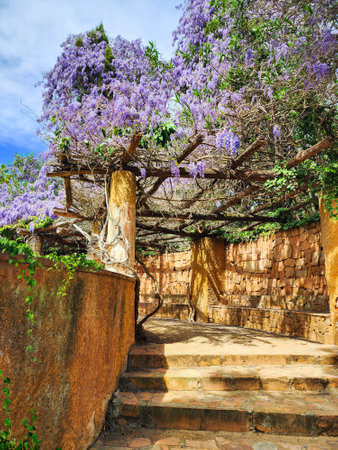 Large gazebo with lilac wisteria. Sunny spring day. Floral nature background.の写真素材