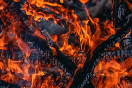 Fire flames / tree branches on fire