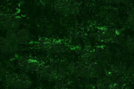 Seamless green grunge textures and backgroundsの写真素材