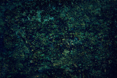 Grunge texture colors of mold and swampsの写真素材